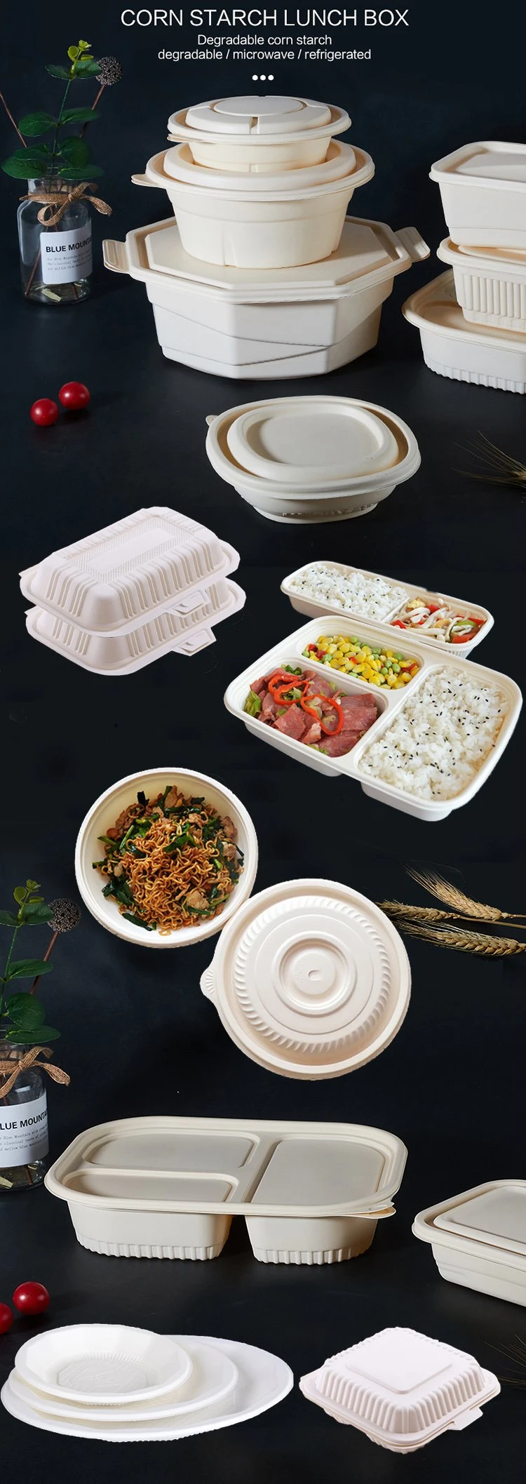 Foods in Bulk 8 Inch 3 Compartments Meal Preps 1 Compartment Container
