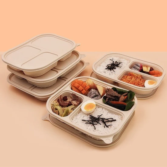 Fries Dispos Lunch Box Food Buy Disposable Foods Compartments Container