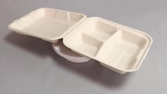 Natural Plant Fiber Environmentally Friendly FSC/FDA/LFGB 3 Compartment Disposable Tablewar E Co Pulp Packaging Zero Waste Lunch Box