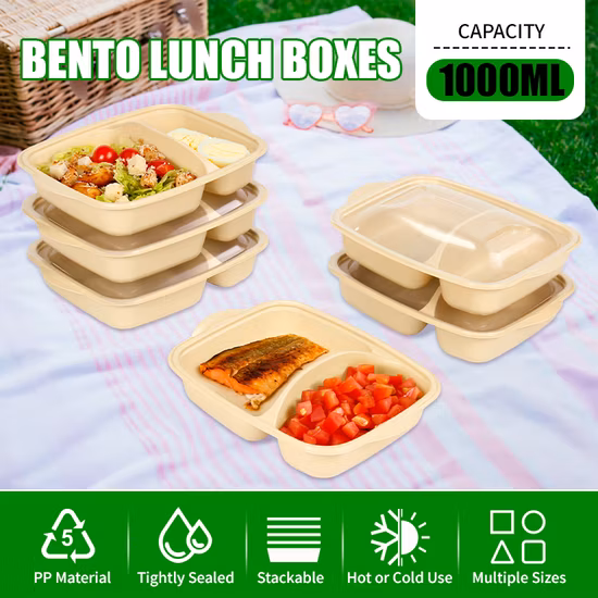 Hot Sell Factory Direct Sales Food Container Salad Lunch Box Bento Box with Lid Leakproof Take Away Box Microwavable Plastic Injection Product Food Box