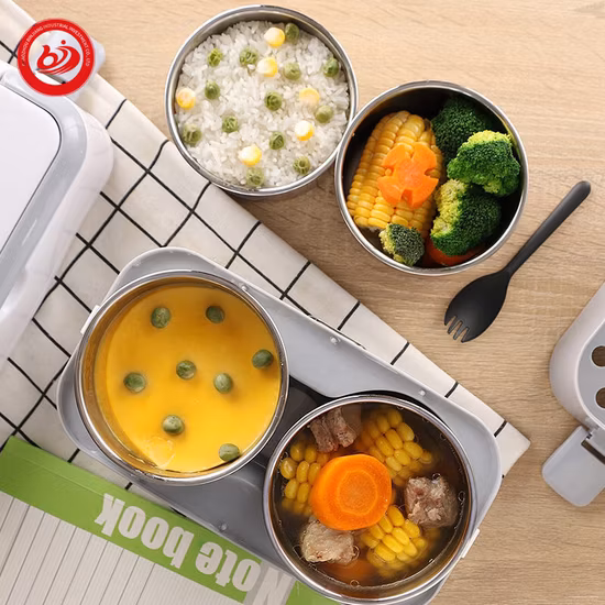 Electric Heating Lunch Box with Stainless Steel Bowl